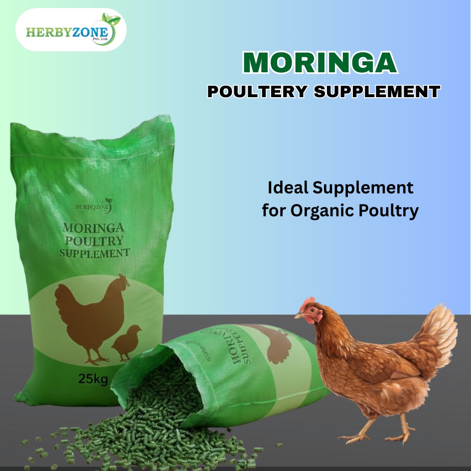 MORINGA Poultry Supplement – Natural Herbal Nutrition for Poultry