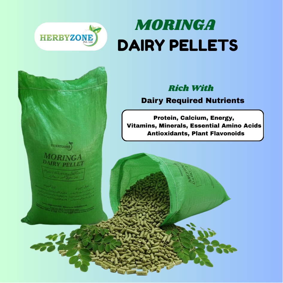 Moringa Dairy Pellets – Natural Nutrition for Dairy Animals