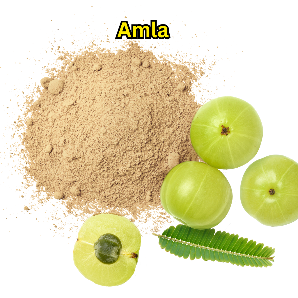 Amla Fruit Powder Supplier in Pak (1)