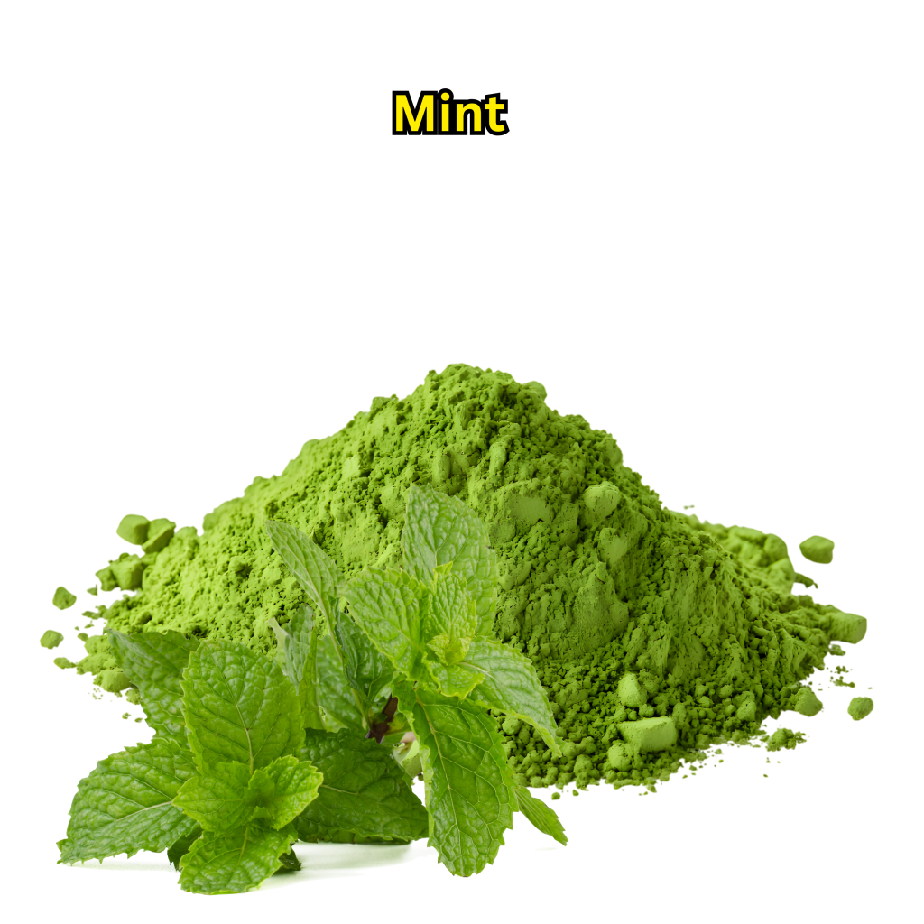 Best Mint Leaves Powder Exporter in Pak